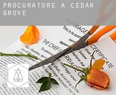 Procuratore a  Cedar Grove
