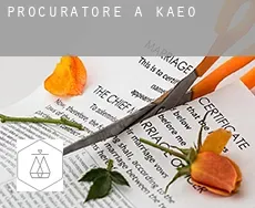 Procuratore a  Kaeo