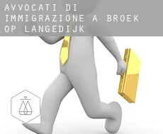 Avvocati di immigrazione a Broek op Langedijk
