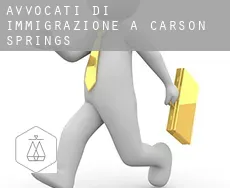 Avvocati di immigrazione a  Carson Springs