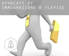 Avvocati di immigrazione a  Flevieu