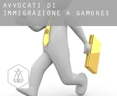 Avvocati di immigrazione a  Gamones