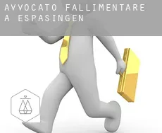 Avvocato fallimentare a  Espasingen