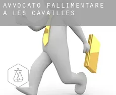 Avvocato fallimentare a  Les Cavailles