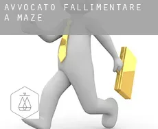 Avvocato fallimentare a  Maze