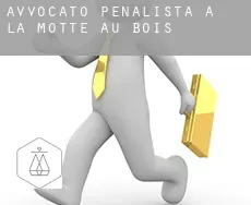 Avvocato penalista a  La Motte-au-Bois
