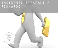 Incidenti stradali a  Pinnaroo
