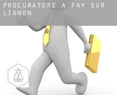 Procuratore a Fay-sur-Lignon