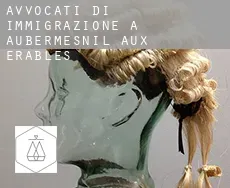 Avvocati di immigrazione a  Aubermesnil-aux-Érables