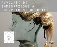Avvocati di immigrazione a  Überroth-Niederhofen