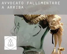 Avvocato fallimentare a  Arriba
