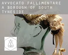 Avvocato fallimentare a  South Tyneside (Borough)