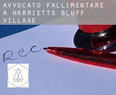 Avvocato fallimentare a  Harrietts Bluff Village