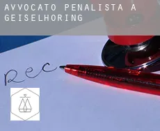 Avvocato penalista a Geiselhöring