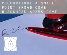 Procuratore a  Small Point-Broad Cove-Blackhead-Adams Cove