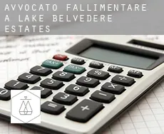 Avvocato fallimentare a  Lake Belvedere Estates