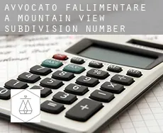 Avvocato fallimentare a  Mountain View Subdivision Number 11