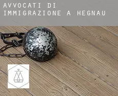 Avvocati di immigrazione a  Hegnau