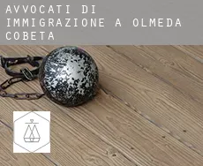 Avvocati di immigrazione a  Olmeda de Cobeta