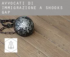 Avvocati di immigrazione a  Shooks Gap