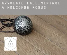 Avvocato fallimentare a  Holcombe Rogus