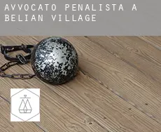 Avvocato penalista a  Belian Village