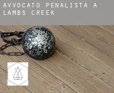 Avvocato penalista a  Lambs Creek