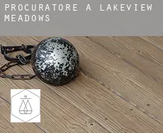 Procuratore a  Lakeview Meadows
