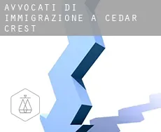 Avvocati di immigrazione a  Cedar Crest