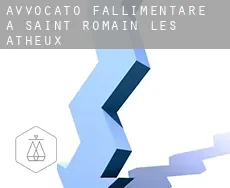Avvocato fallimentare a  Saint-Romain-les-Atheux