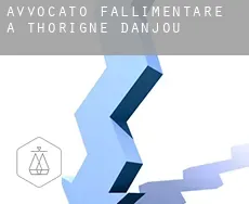Avvocato fallimentare a  Thorigné-d'Anjou