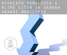 Avvocato penalista a  Altre città in Sabana Grande Municipio