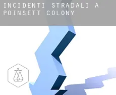 Incidenti stradali a  Poinsett Colony