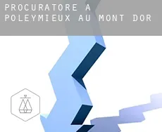 Procuratore a  Poleymieux-au-Mont-d'Or
