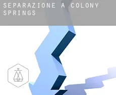 Separazione a  Colony Springs