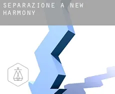 Separazione a  New Harmony
