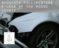 Avvocato fallimentare a  Lake of the Woods County