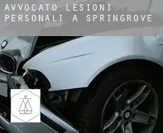 Avvocato lesioni personali a  Springrove