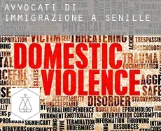 Avvocati di immigrazione a  Senillé