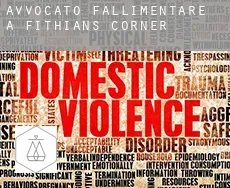 Avvocato fallimentare a  Fithians Corner