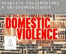 Avvocato fallimentare a  Unterehrendingen